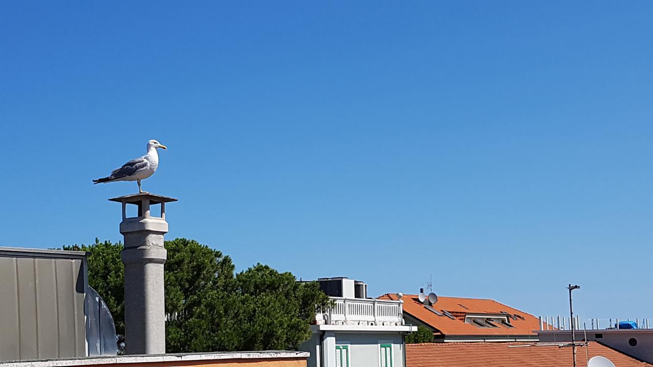 Hotel Le Pleiadi Bellaria-Igea Marina Exteriér fotografie